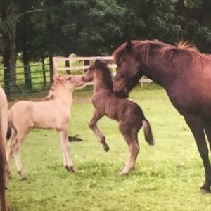 Meet your Posher, Ellie